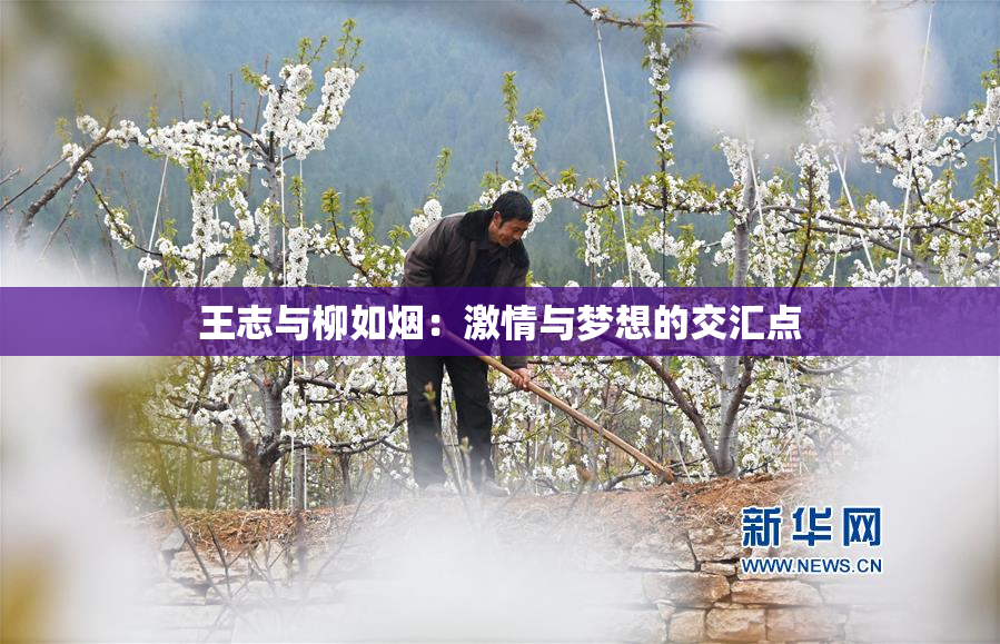 王志与柳如烟：激情与梦想的交汇点