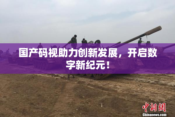 国产码视助力创新发展，开启数字新纪元！