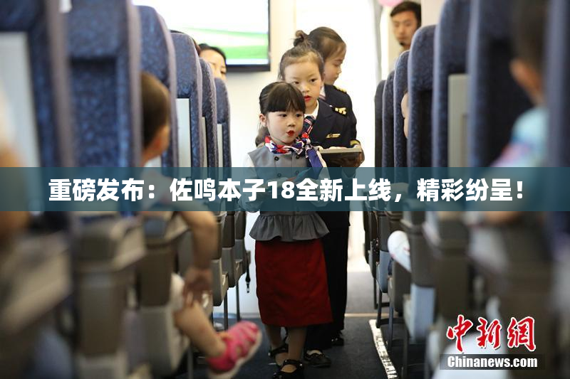 重磅发布：佐鸣本子18全新上线，精彩纷呈！