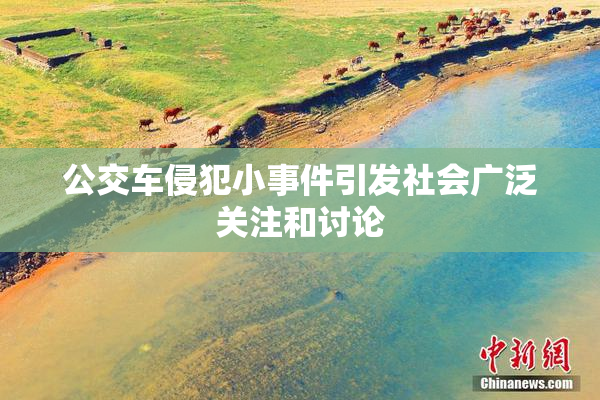 公交车侵犯小事件引发社会广泛关注和讨论