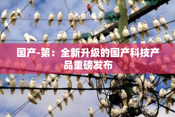 国产-第：全新升级的国产科技产品重磅发布
