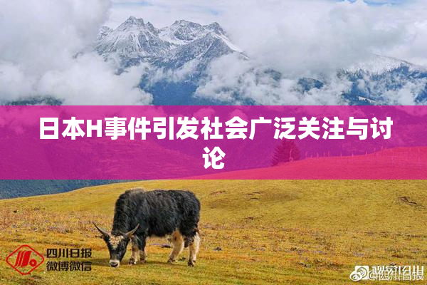 日本H事件引发社会广泛关注与讨论