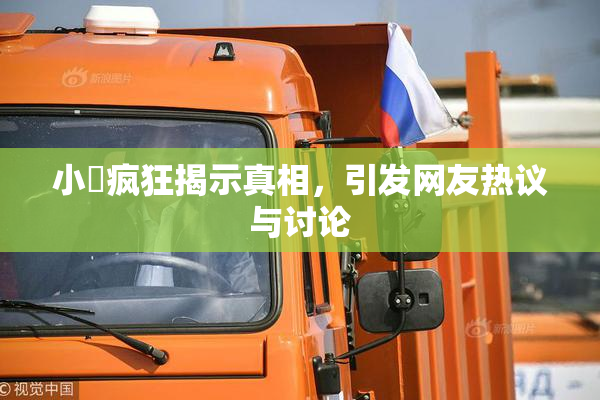 小泬疯狂揭示真相，引发网友热议与讨论