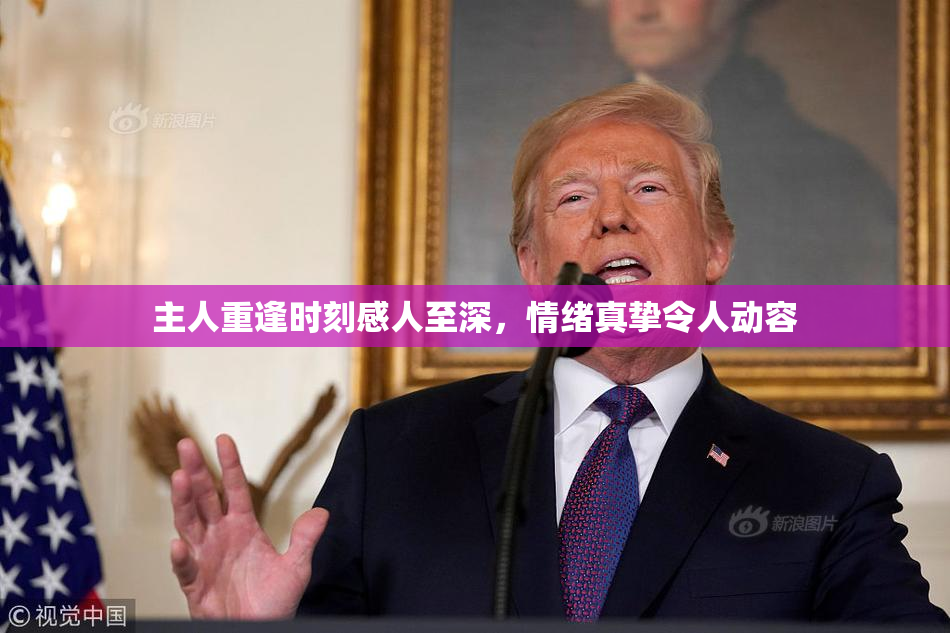 主人重逢时刻感人至深，情绪真挚令人动容