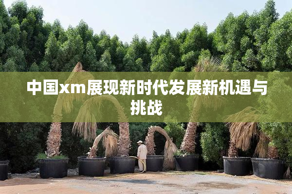 中国xm展现新时代发展新机遇与挑战