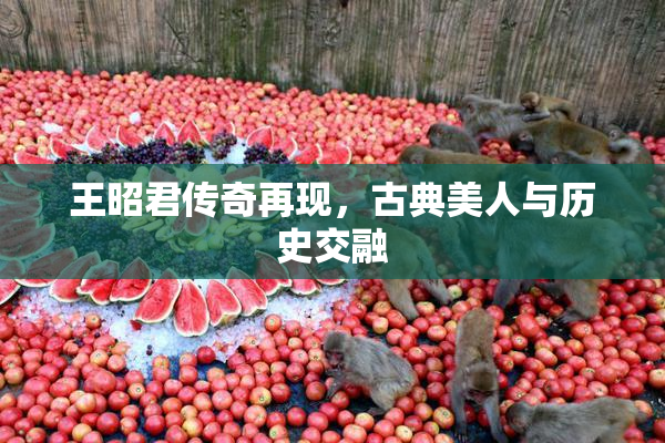 王昭君传奇再现，古典美人与历史交融