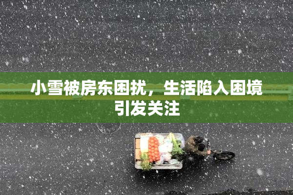 小雪被房东困扰，生活陷入困境引发关注