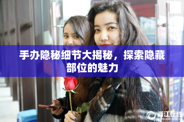 手办隐秘细节大揭秘，探索隐藏部位的魅力