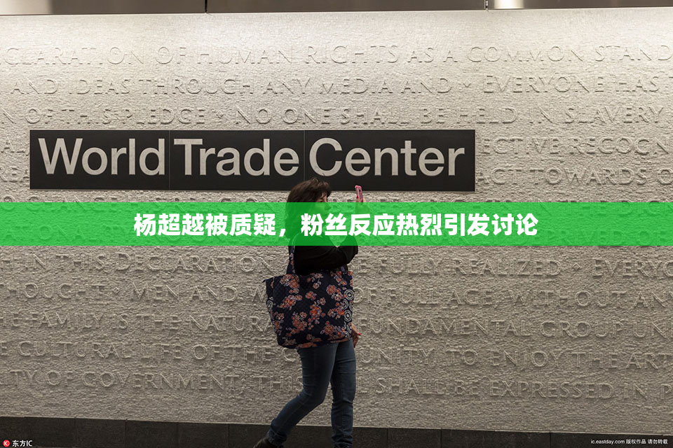 杨超越被质疑，粉丝反应热烈引发讨论