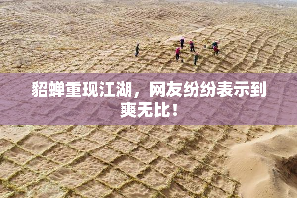 貂蝉重现江湖，网友纷纷表示到爽无比！