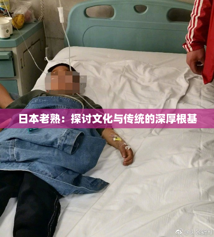 日本老熟：探讨文化与传统的深厚根基