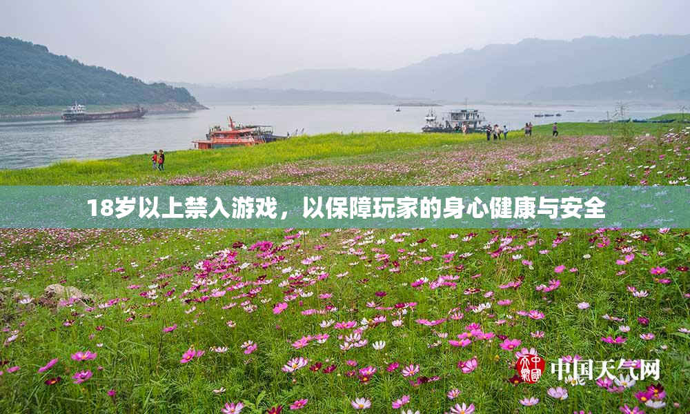 18岁以上禁入游戏，以保障玩家的身心健康与安全