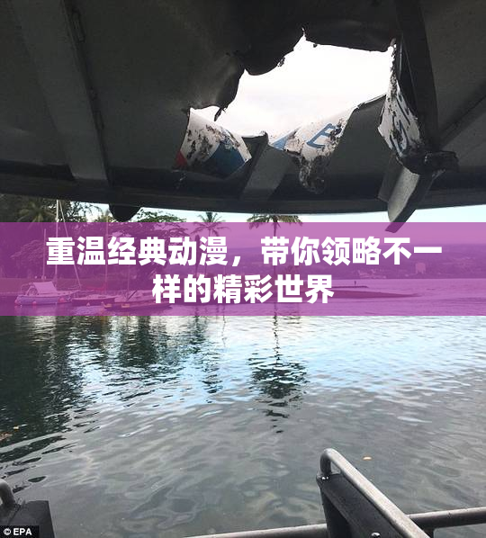 重温经典动漫，带你领略不一样的精彩世界