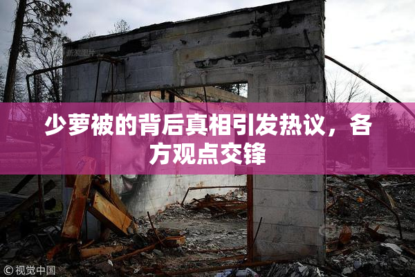 少萝被的背后真相引发热议，各方观点交锋