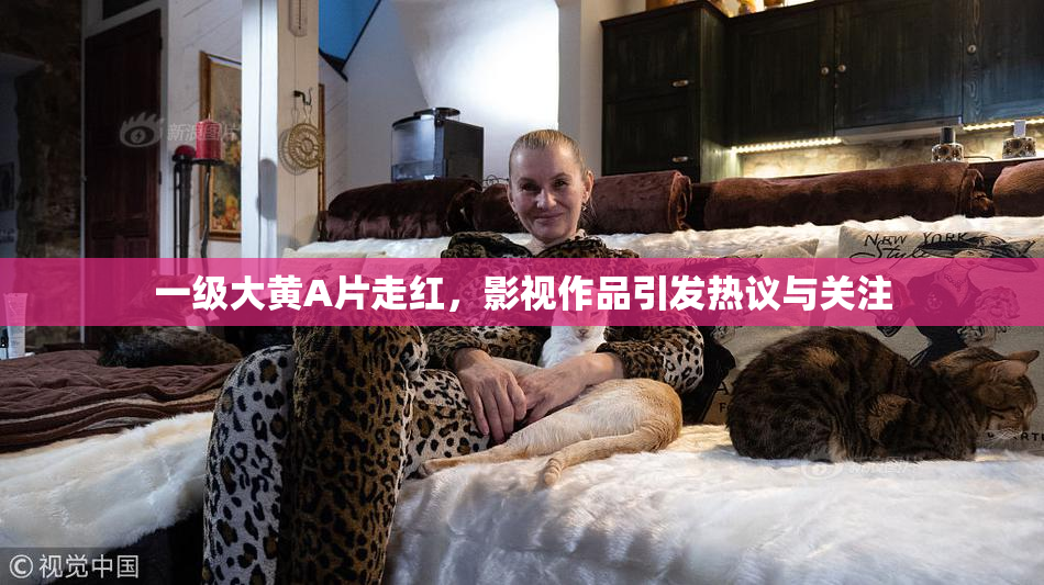 一级大黄A片走红，影视作品引发热议与关注
