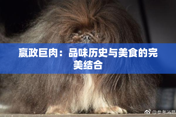 嬴政巨肉：品味历史与美食的完美结合