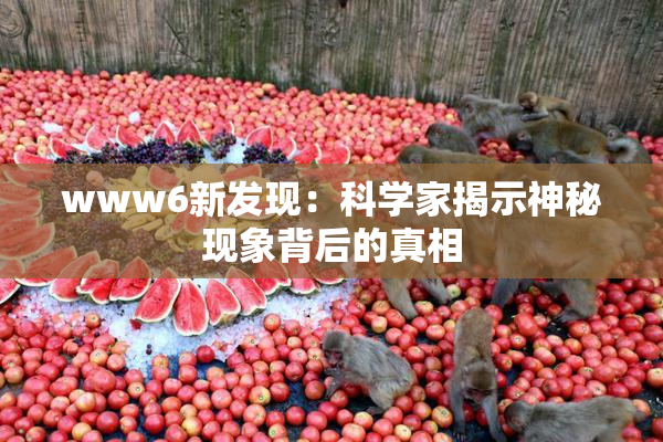 www6新发现：科学家揭示神秘现象背后的真相