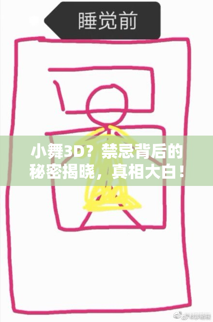 小舞3D？禁忌背后的秘密揭晓，真相大白！
