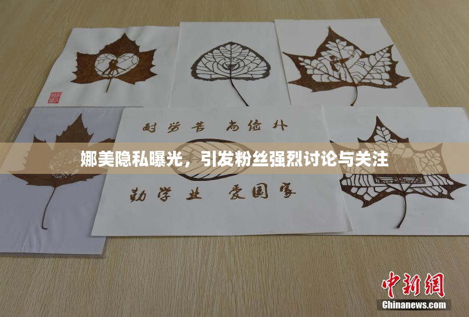 娜美隐私曝光，引发粉丝强烈讨论与关注