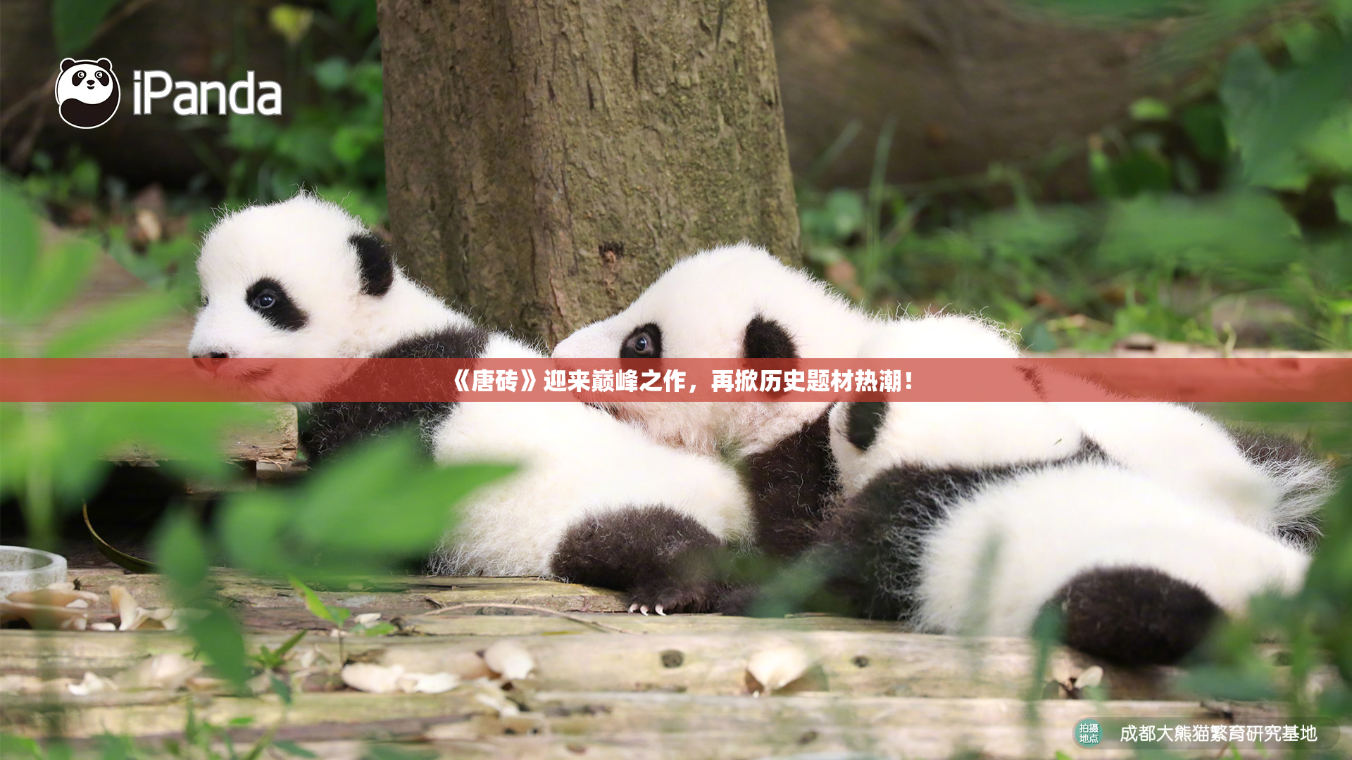 《唐砖》迎来巅峰之作，再掀历史题材热潮！