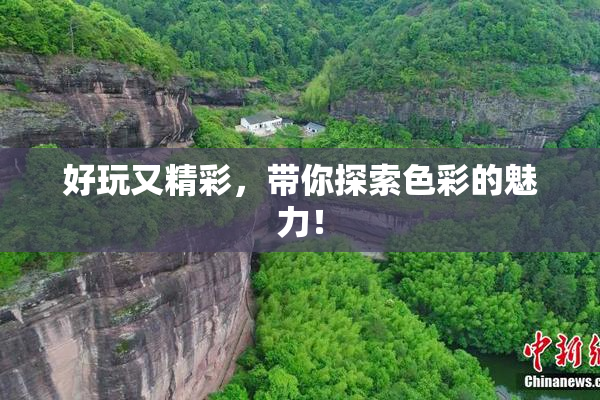 好玩又精彩，带你探索色彩的魅力！