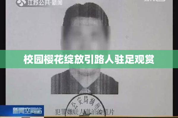 校园樱花绽放引路人驻足观赏