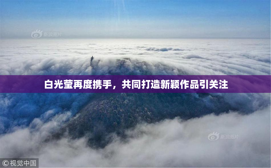 白光莹再度携手，共同打造新颖作品引关注