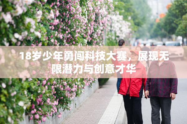 18岁少年勇闯科技大赛，展现无限潜力与创意才华