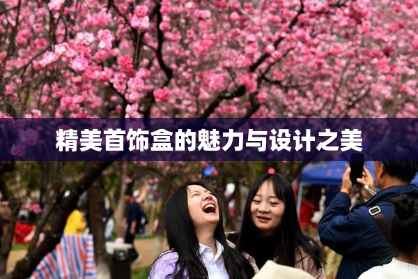精美首饰盒的魅力与设计之美