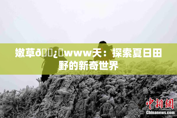 嫩草🌿‌www天：探索夏日田野的新奇世界