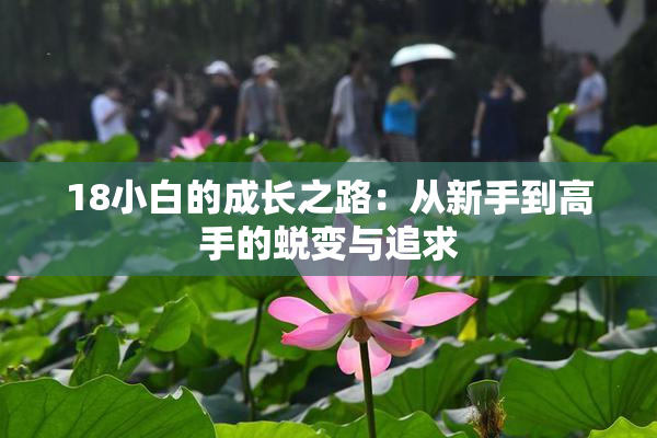 18小白的成长之路：从新手到高手的蜕变与追求