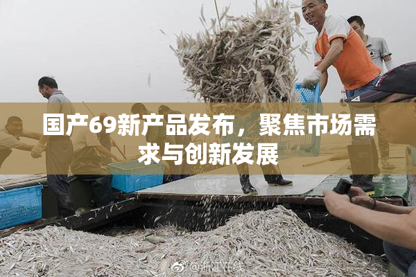国产69新产品发布，聚焦市场需求与创新发展