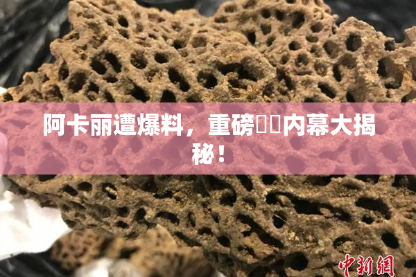 阿卡丽遭爆料，重磅❌‌内幕大揭秘！