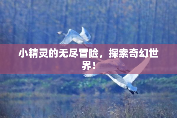 小精灵的无尽冒险，探索奇幻世界！