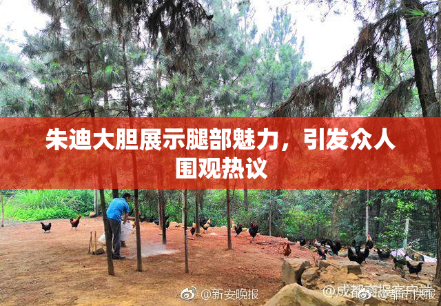 朱迪大胆展示腿部魅力，引发众人围观热议