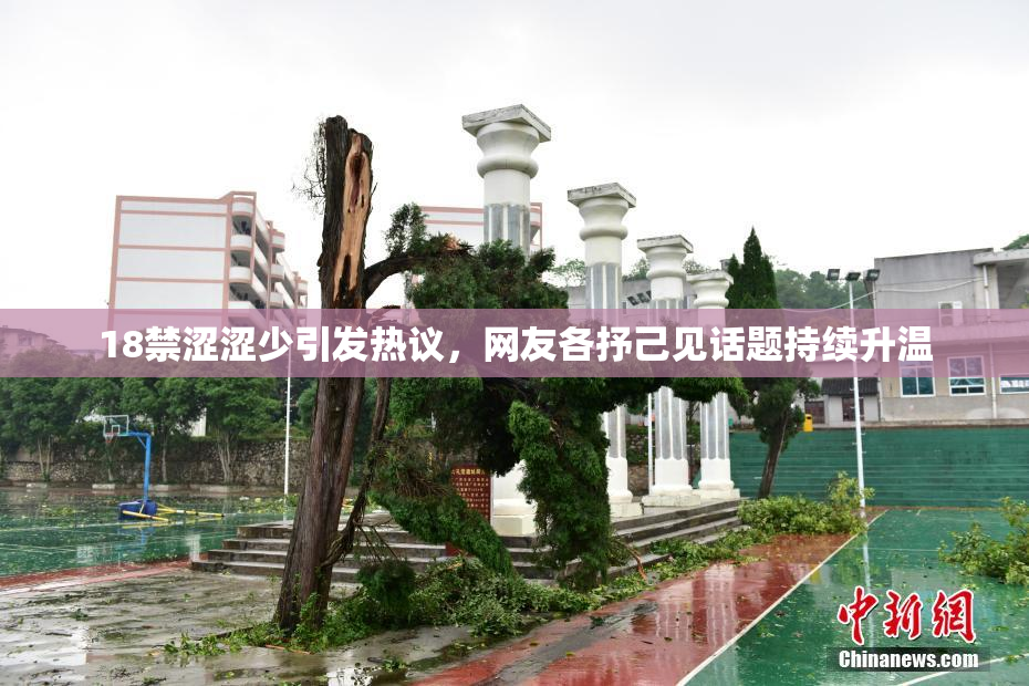 18禁涩涩少引发热议，网友各抒己见话题持续升温