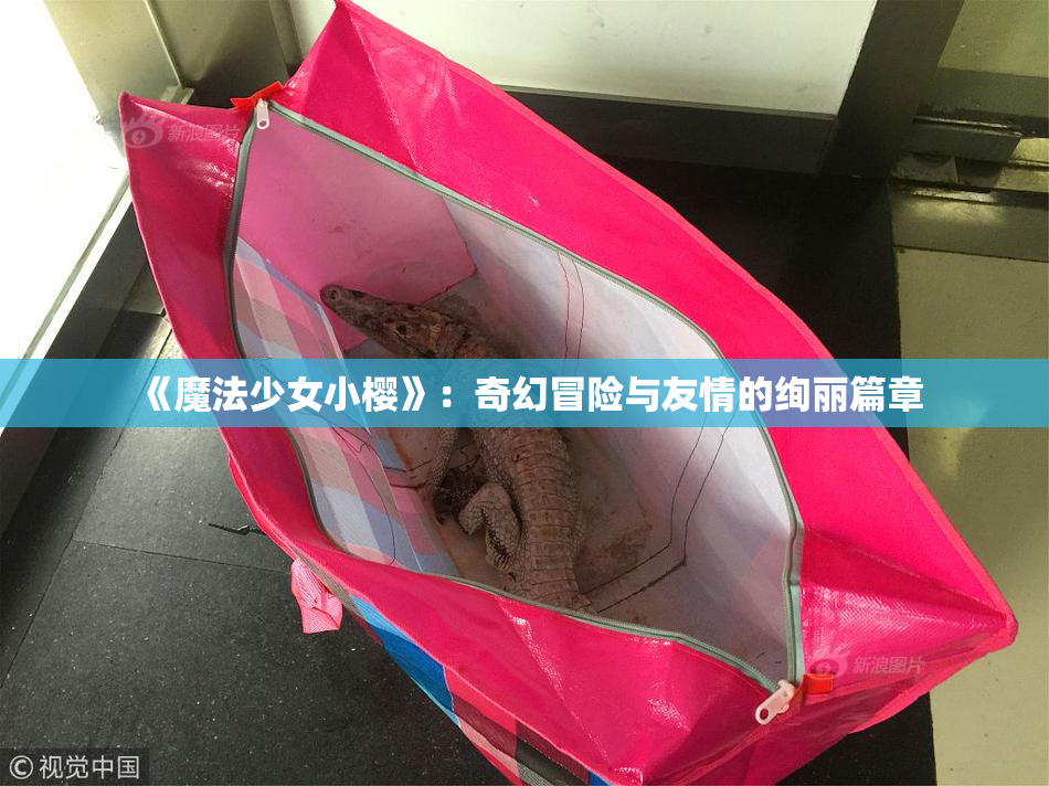 《魔法少女小樱》：奇幻冒险与友情的绚丽篇章