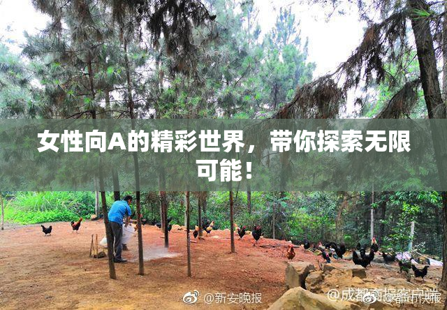 女性向A的精彩世界，带你探索无限可能！
