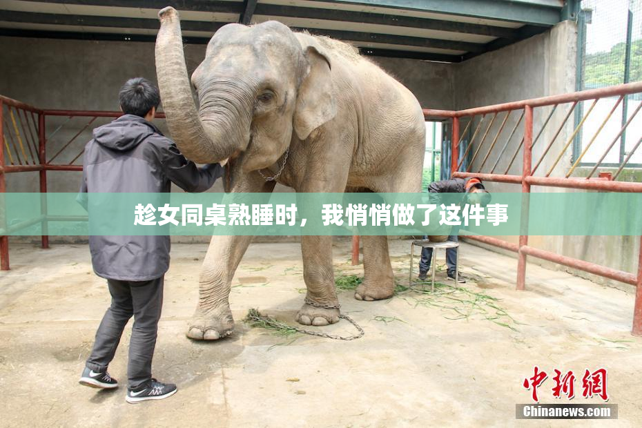 趁女同桌熟睡时，我悄悄做了这件事