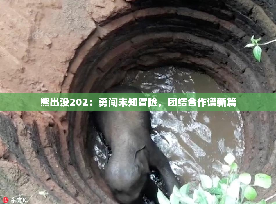 熊出没202：勇闯未知冒险，团结合作谱新篇