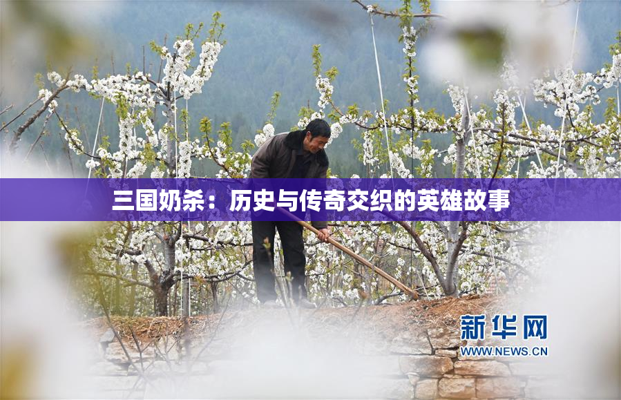 三国奶杀：历史与传奇交织的英雄故事