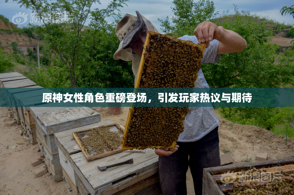 原神女性角色重磅登场，引发玩家热议与期待