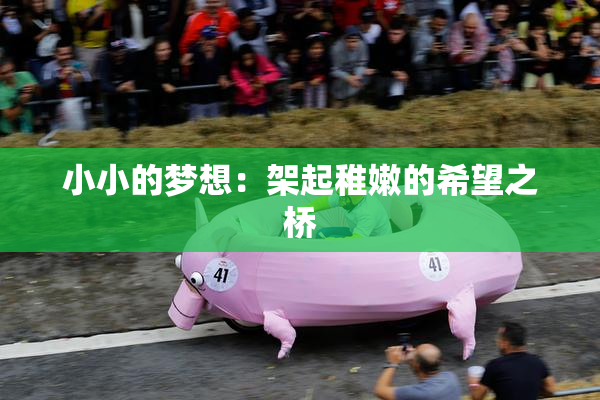 小小的梦想：架起稚嫩的希望之桥