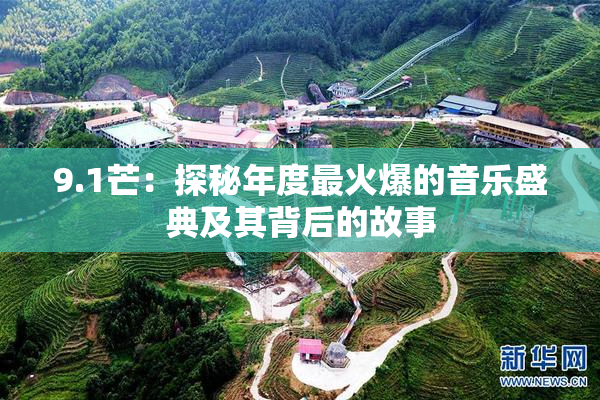 9.1芒：探秘年度最火爆的音乐盛典及其背后的故事