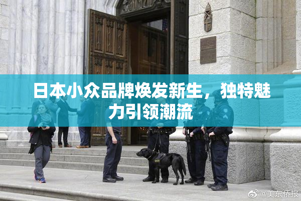 日本小众品牌焕发新生，独特魅力引领潮流
