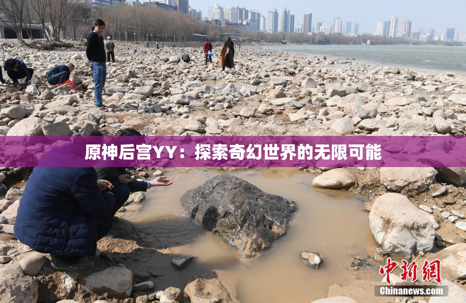 原神后宫YY：探索奇幻世界的无限可能
