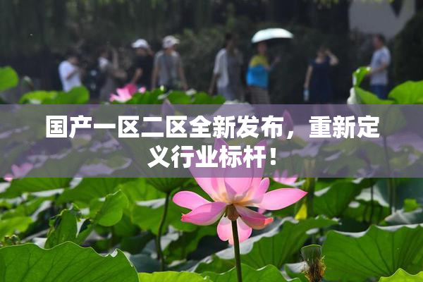 国产一区二区全新发布，重新定义行业标杆！