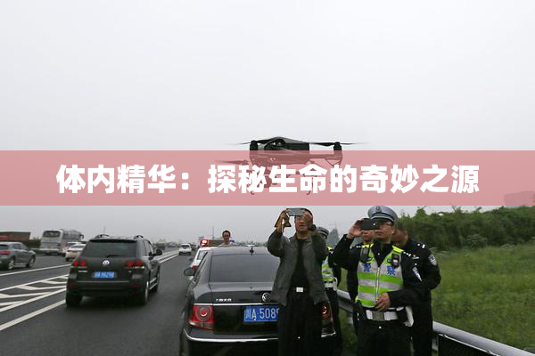 体内精华：探秘生命的奇妙之源