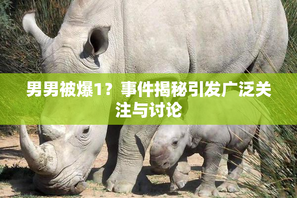 男男被爆1？事件揭秘引发广泛关注与讨论