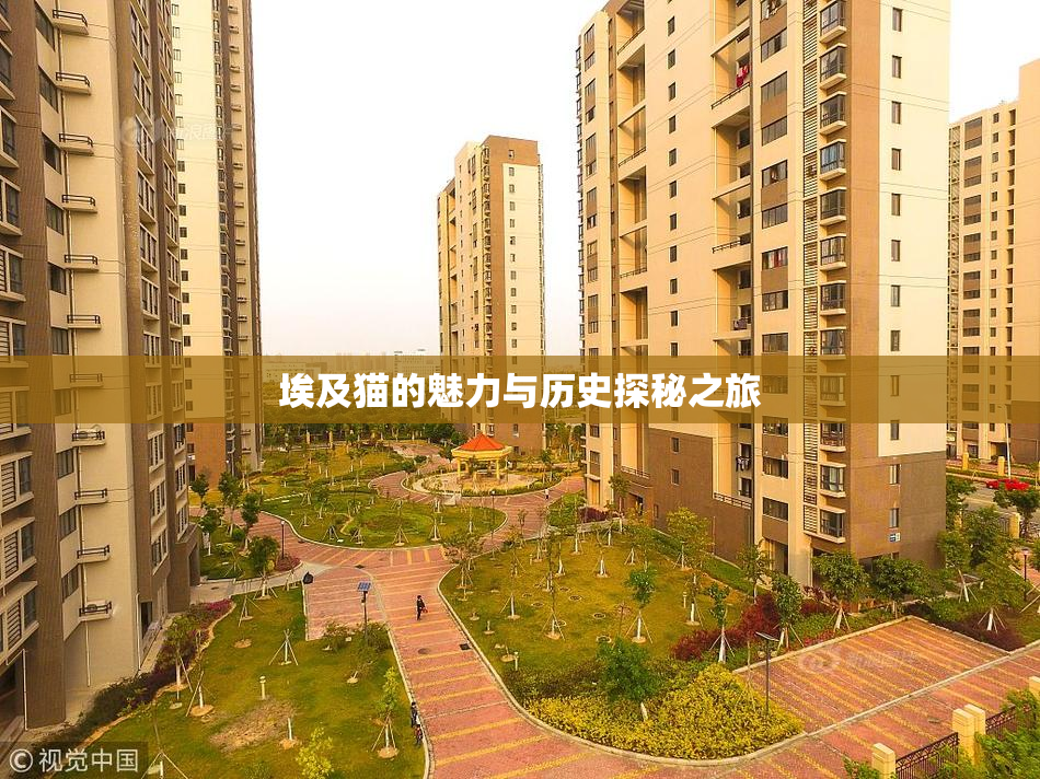 埃及猫的魅力与历史探秘之旅